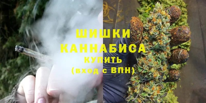 Каннабис Ganja  Павлово 